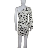 Women Desses Long Sleeve Pleating Slim Print Dress Skirt