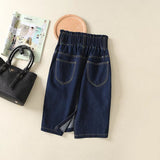 Women's Skirt Autumn Antique Dark Blue Denim Skirt
