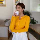 Women Long Sleeve Shirt Cardigan Slim Bottoming Shirt round Neck Long Sleeve