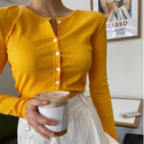 Women Long Sleeve Shirt Cardigan Slim Bottoming Shirt round Neck Long Sleeve