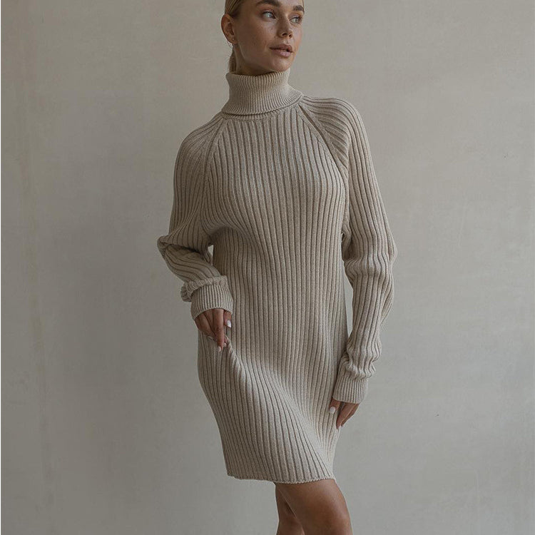 Women Sweater Dress Long Sleeve High Collar Sweater Dress Women Casual Loose