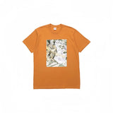 Supreme T Shirts
