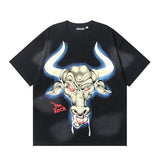 HS T-Shirt