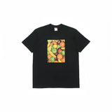Supreme T Shirts