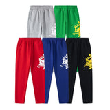 Hip-hop pants american high street sweatpants large letter printingloosefleece-linedstraight-leg pants casual sweatpants