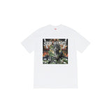 Supreme T Shirts