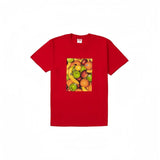 Supreme T Shirts