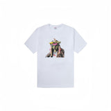 Supreme T Shirts