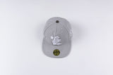 HS Hat Recreational Sports Baseball Cap