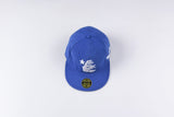 HS Hat Recreational Sports Baseball Cap