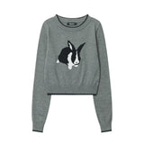 Women Sweater Girls' Autumn Crew Neck Long Sleeve Casual