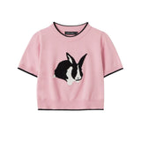 Women Sweater Sweater with Short Sleeves Women's Spring/Summer round Neck