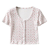Women T-Shirt Summer Knitted Bottoming Shirt