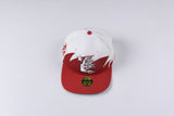 HS Hat Recreational Sports Baseball Cap