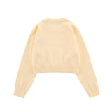 Women Sweater Women's Autumn Crew Neck Long Sleeve Casual