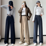 Palazzo Pants Niche Casual Suit Pants Women Autumn Trousers Solid Color Simple