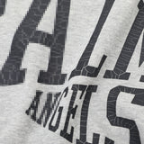 Palm Angle Hoodie Palm Angels Letter Printing Stitching Hooded Men and Women Multi-Color Coat