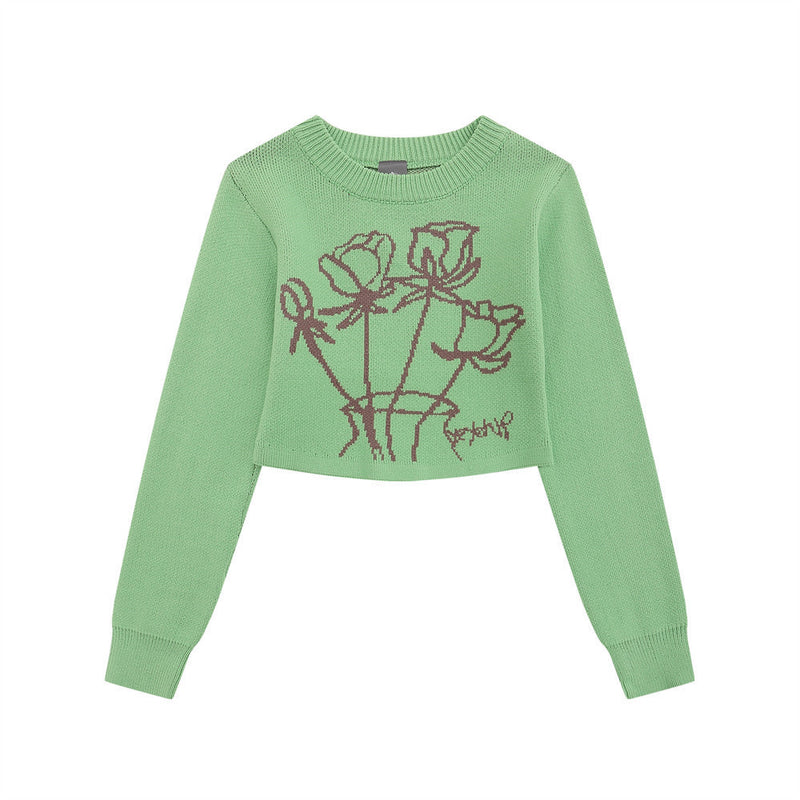 Women Sweater Girls' Autumn Casual round Neck Knitted