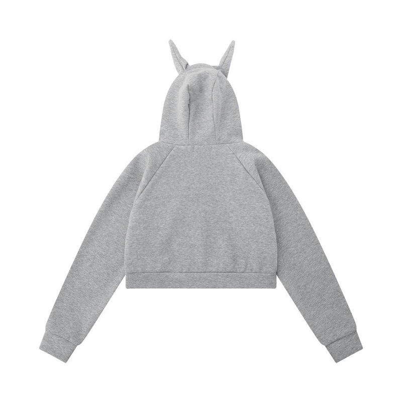 Women Hoodie Hooded Sweater Women's Casual Autumn Sports Loose