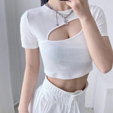 Women T-Shirt round Neck Short Sleeve T-shirt for Women Slim Fit