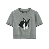 Women Sweater Sweater with Short Sleeves Women's Spring/Summer round Neck