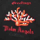 Palm Angle Hoodie Palm Angels Coral Letter Embroidered Hooded Couple