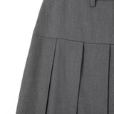 Women Skirt Pleated Skirt Women Spring and Autumn Skirt Long Skirt