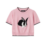 Women Sweater Sweater with Short Sleeves Women's Spring/Summer round Neck