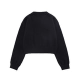 Women Sweater Women's Autumn Crew Neck Long Sleeve Casual