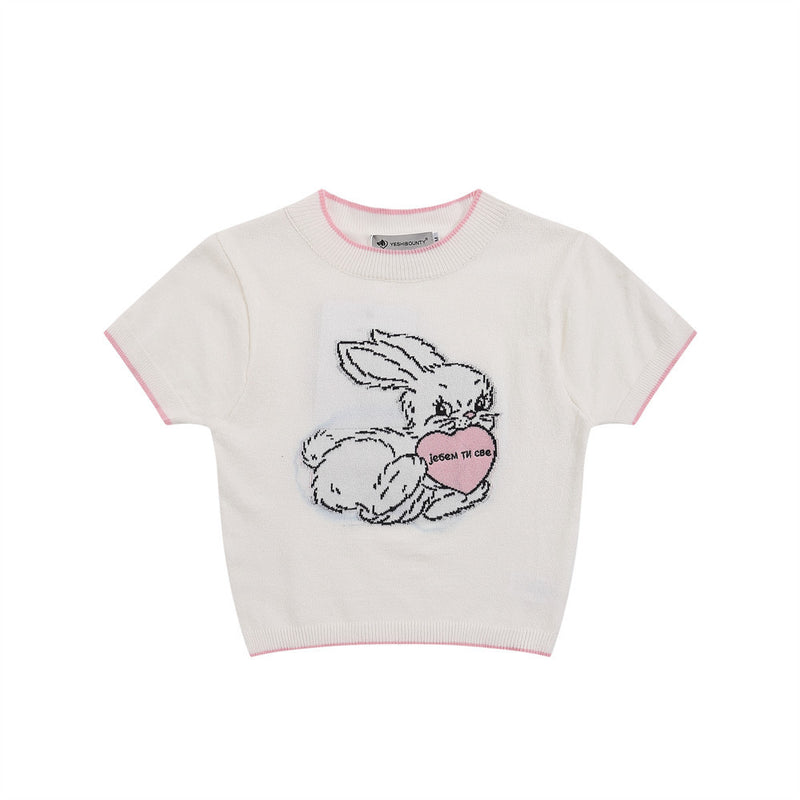 Women Sweater Short-Sleeved Sweater Women's Summer Casual O-neck Short Top
