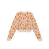Women Sweater Short Sweater Women's Autumn Casual round Neck Sweater