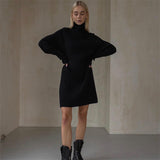 Women Sweater Dress Long Sleeve High Collar Sweater Dress Women Casual Loose