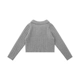 Women Sweater Short Sweater Women's Autumn Polo Collar Slim-Fit Long Sleeve