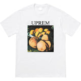 Men T-shirts 18FW STILL LIFE TEE Walnut oil painting short-sleeved loose cotton T-shirts