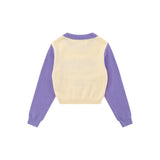 Women Sweater Color Matching Sweater Women's Autumn Leisure round Neck Long Sleeve Short