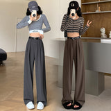 Palazzo Pants Autumn Suit Pants Wide Leg Pants Straight Casual
