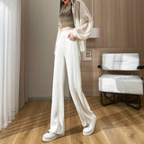 Palazzo Pants Autumn Suit Casual Pants High Waist