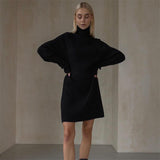 Women Sweater Dress Long Sleeve High Collar Sweater Dress Women Casual Loose
