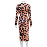 Women's Dress Dress Long Sleeve Elegant Dress