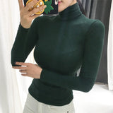 Women Long Sleeve Shirt High Collar Bottoming Shirt Stretch Top for Women