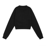 Women Sweater Autumn Women's Casual round Neck Sweater