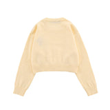 Women Sweater Women's Autumn Crew Neck Long Sleeve Casual