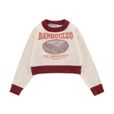 Women Sweater Short round Neck Knitwear Spring and Autumn Women's Color Matching Long Sleeve