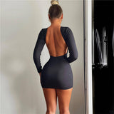 Women Dresses Autumn and Winter Women's Clothing Fashion Long Sleeve Dress