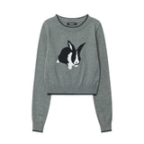 Women Sweater Girls' Autumn Crew Neck Long Sleeve Casual