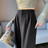 Palazzo Pants Autumn High-Grade Draping Texture Loose Straight Wide-Leg Pants