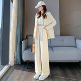 Palazzo Pants Autumn High-Grade Draping Texture Loose Straight Wide-Leg Pants