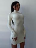 Women Sweater Dress Long Sleeve Knitted Dress Autumn Winter Sexy Skinny Short Woolen Skirt