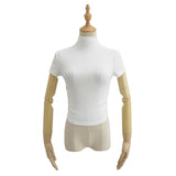 Women's T-Shirt Spring Short-Sleeved T-shirt Women's Ins Stretch Top